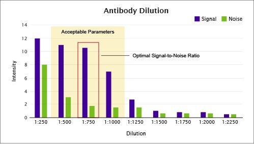 Bar graph of antibody dilution showing signal and noise intensity with acceptable parameters and optimal ratio