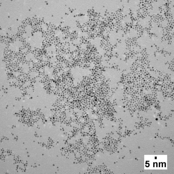 TEM image showing densely clustered ultrasmall nanoparticles with a 5 nm scale bar.