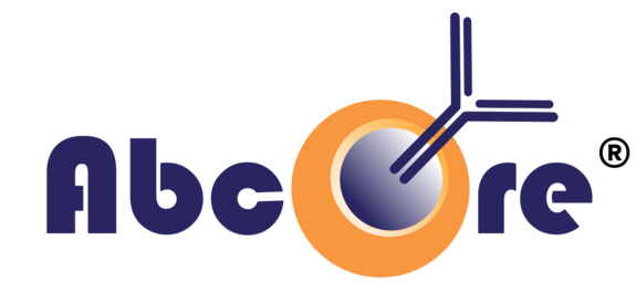 Abcore logo with stylized antibody design integrated into the company name and orange circular background element.