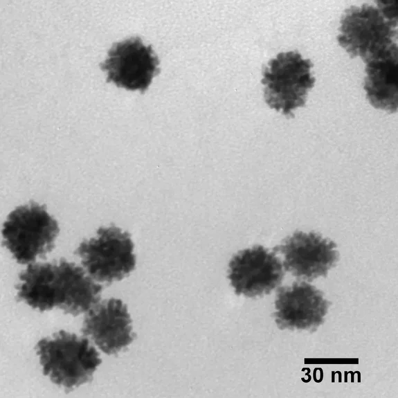 TEM image of small spherical nanoparticles clustered together, with a 30 nm scale bar.