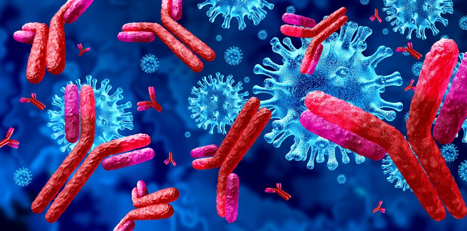 Several antibodies, in red, and viral particles, in blue.