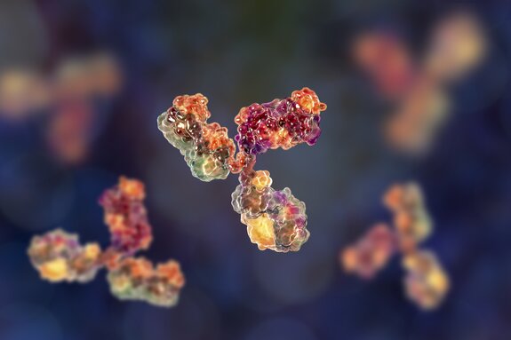 3D rendering of antibodies with colorful surface details, depicting immune response and protein structure visualization.