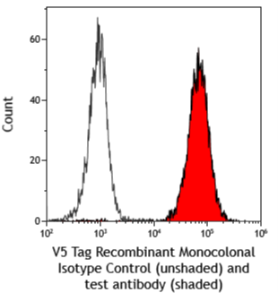 Flow cytometry histogram of V5 Tag recombinant monoclonal antibody showing isotype control (unshaded) and test antibody (shaded).