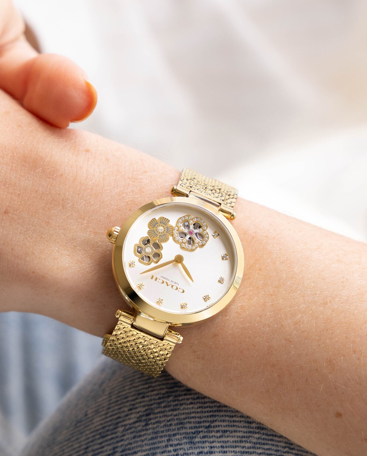 Coach Park on model in gold