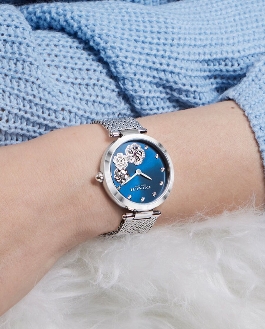 Coach park watch on model