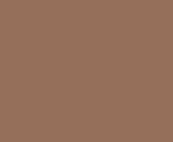 Picture of light brown background