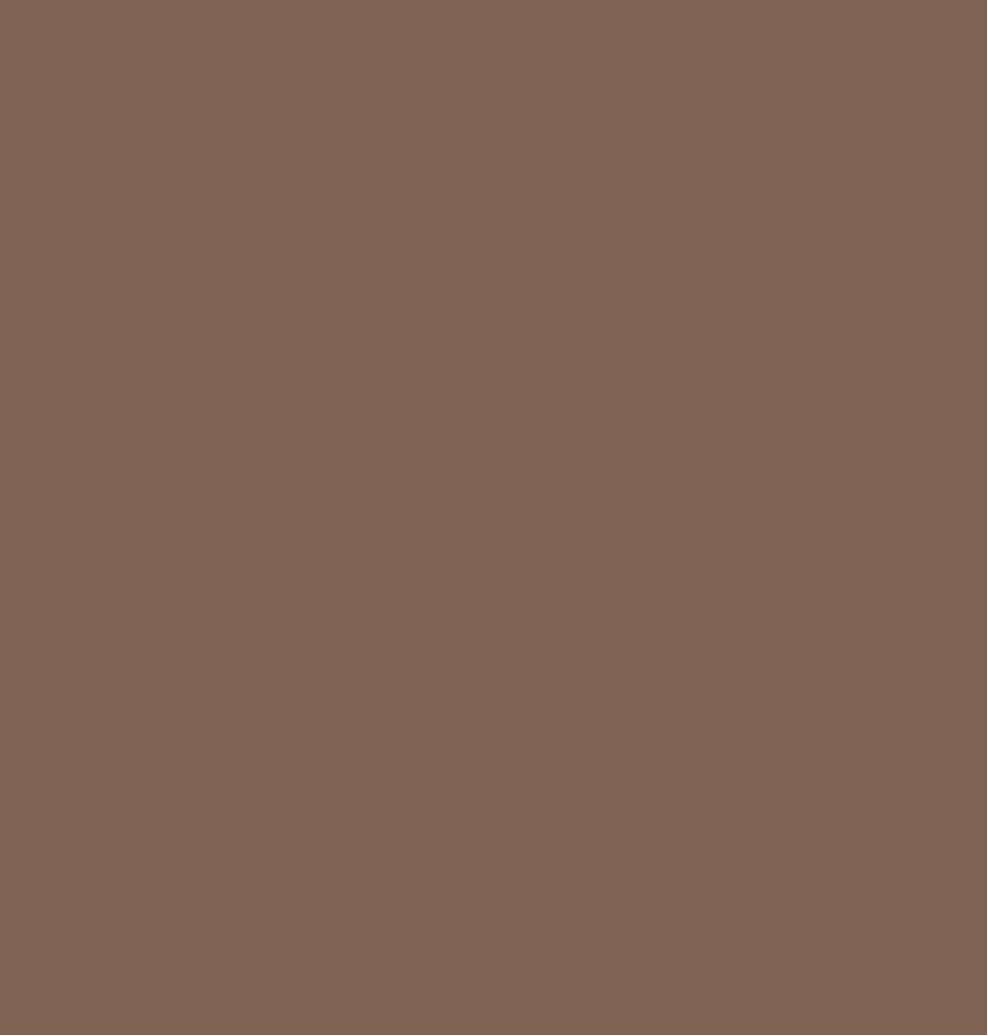 Picture of brown background