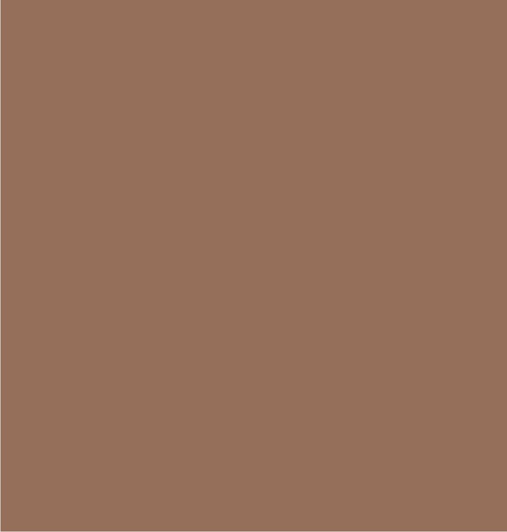 Picture of brown background