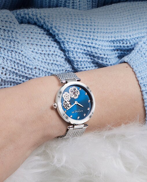 Coach park watch on model