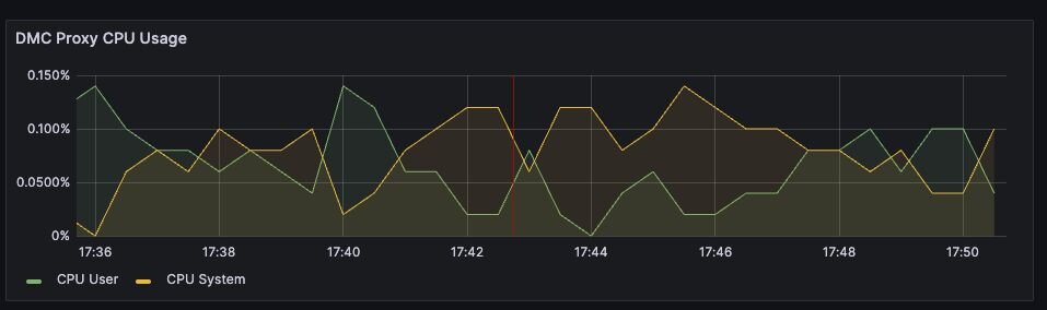 Figure 5. Display showing Proxy CPU usage