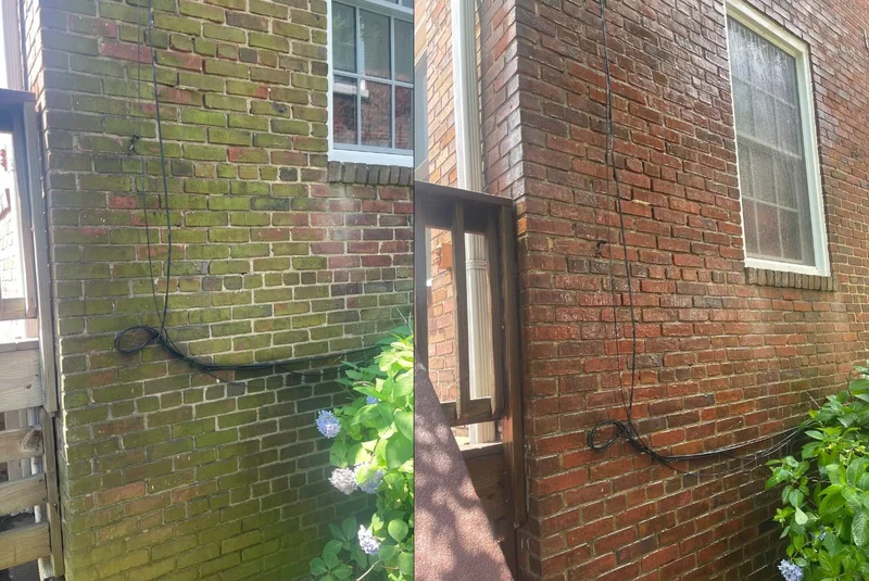 Cleaned stone steps and walkway