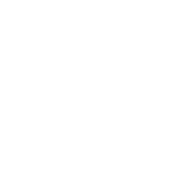 Shield AI logo