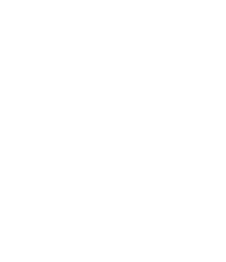 Perplexity logo