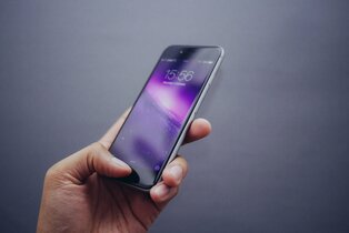 No Alt Text Found