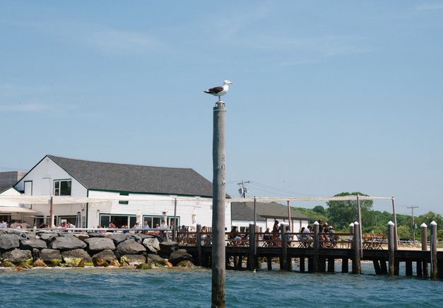 View of the property taken from a boat at sea with seagull on piling
