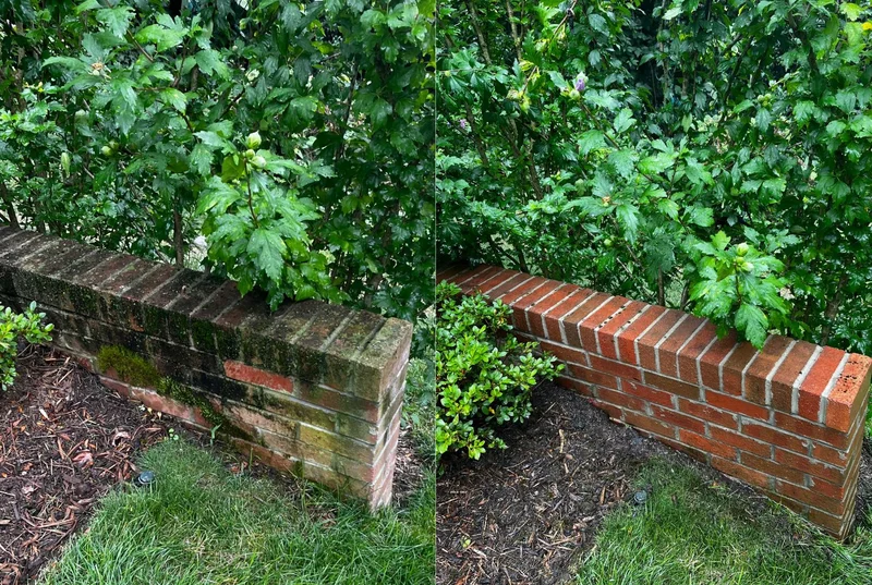 Garden wall before and after pressure washing