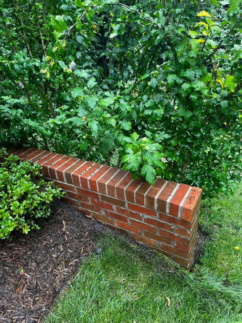 Cleaned garden retaining wall