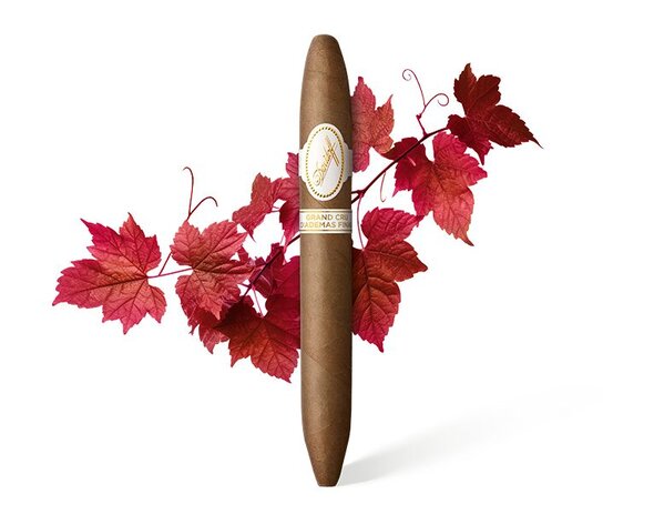 Davidoff Grand Cru Diademas Finas Limited Edition Collection Zigarre mit Weinblättern im Hintergrund.