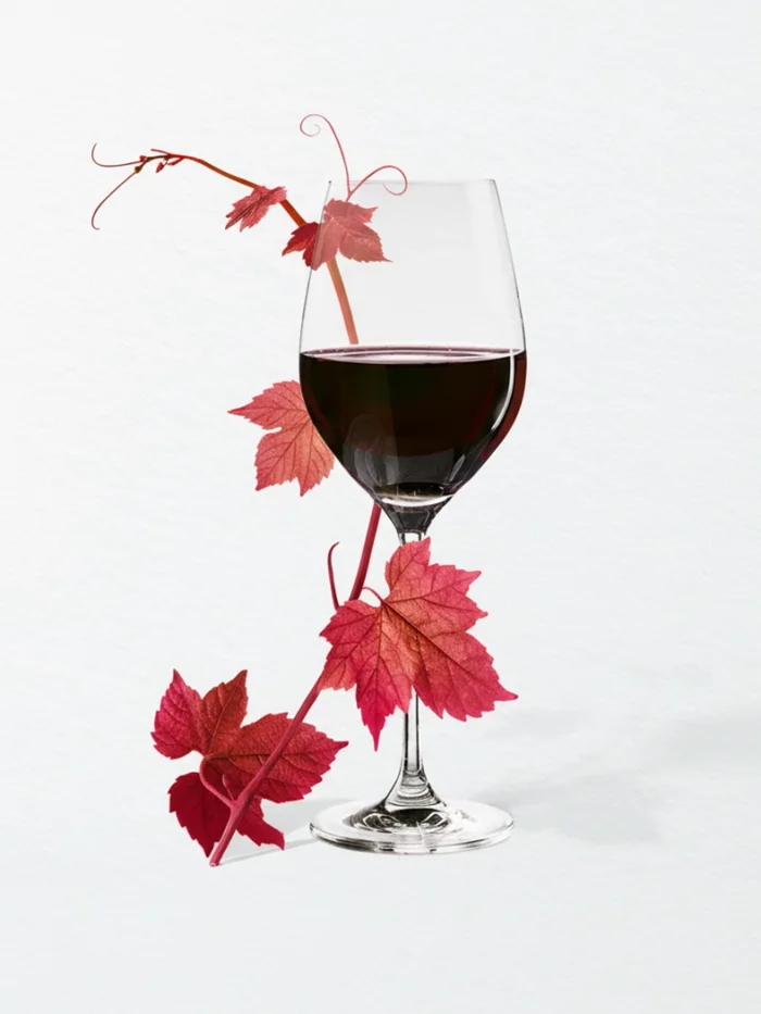 Davidoff Grand Cru Zigarren mit rot Wein Pairing als Vorschlag