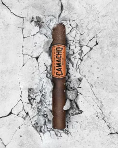 A Camacho Broadleaf cigar emerges from cracked concrete, exuding a sense of strength and boldness with its distinctive orange band.