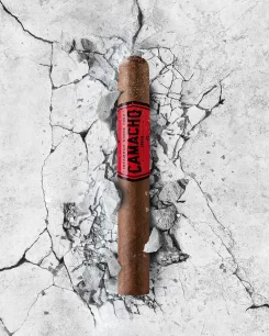 A Camacho cigar rests amidst cracked concrete, highlighted by its bold red label, symbolizing strength and resilience.