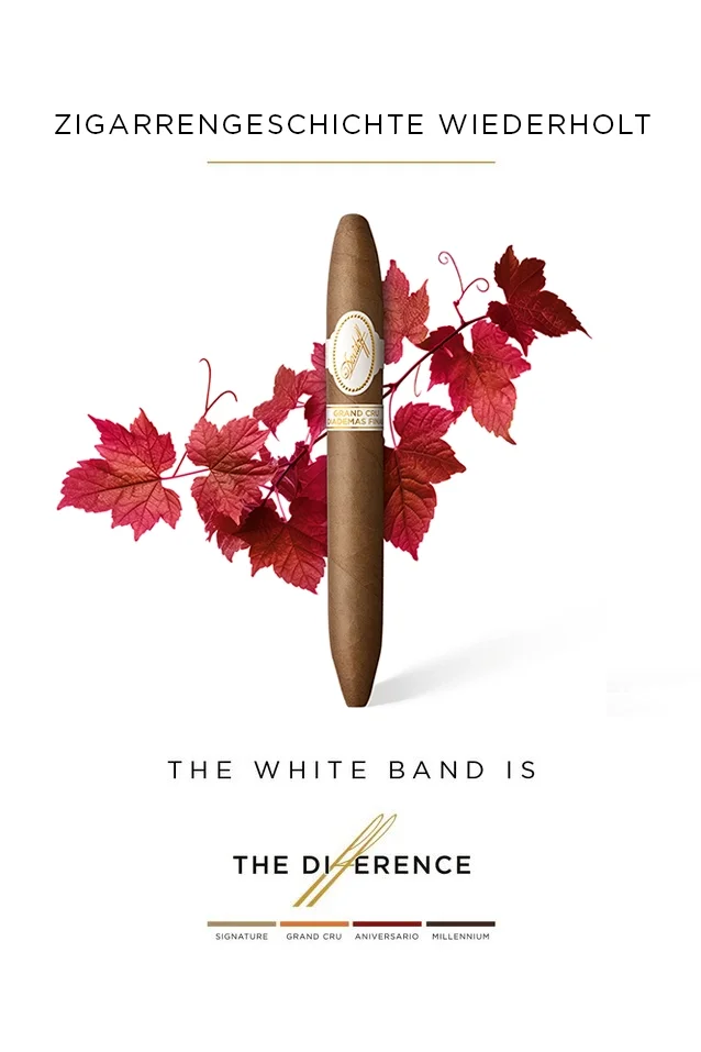 The Davidoff Grand Cru Diademas Finas Limited Edition Collection cigar in front of red vine leaves.