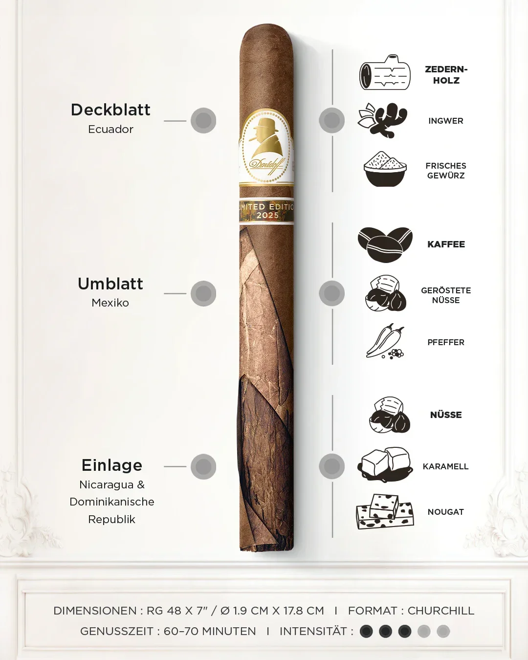 Die Winston Churchill Limited Edition 2025 Zigarre "The Artist" Edition. 