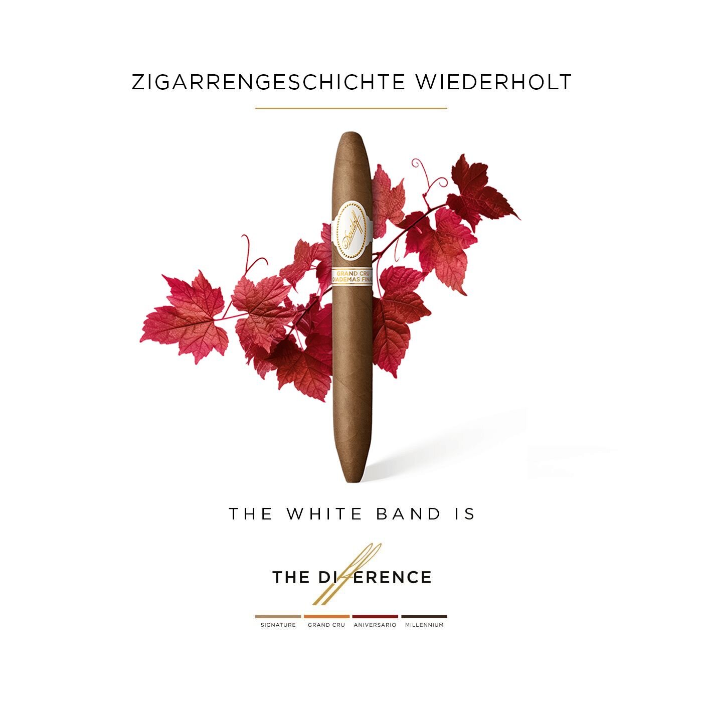The Davidoff Grand Cru Diademas Finas Limited Edition Collection cigar in front of red vine leaves.