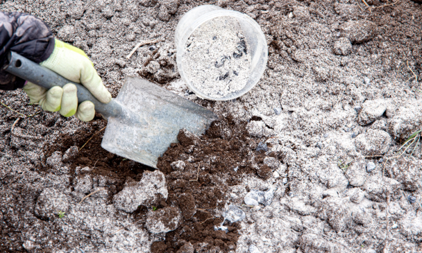 fertilizer mixed with soil