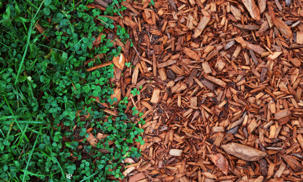 Mulch 