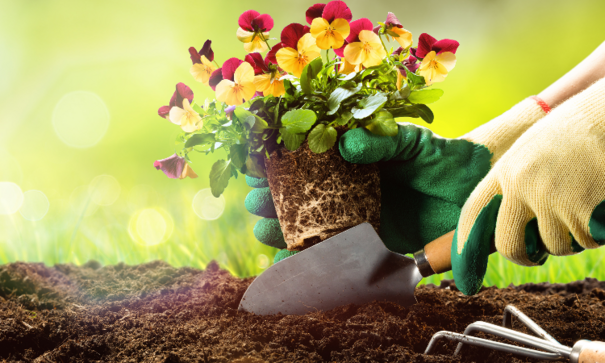 soil