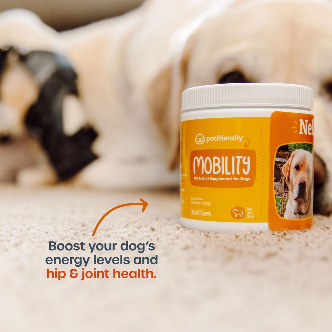 Mobility Supplement