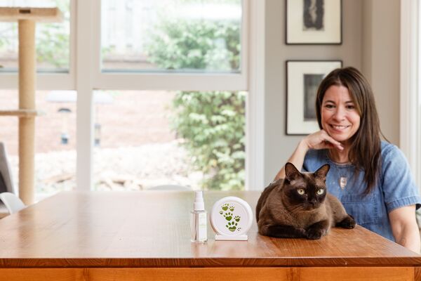 stressful behaviors in cats