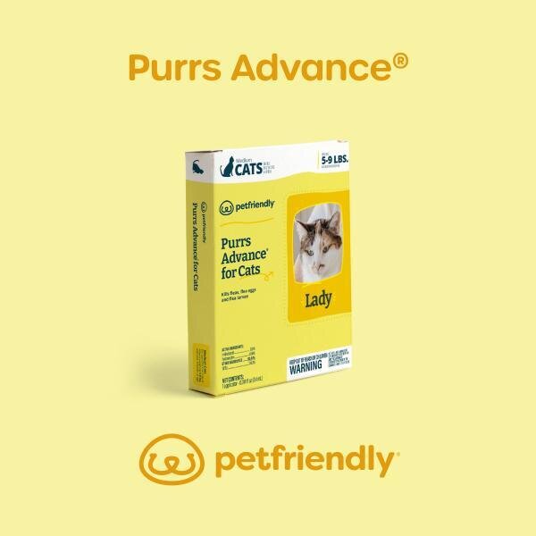 Topical Flea Treatment for Cats | Purrs Advance® - PetFriendly Box - Flea Embedding Products For Cats With Severe Flea Infestation