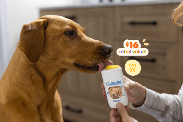 Brilliant™ Dental Stick: Doggy dental health is important every season of the year! Our easy click-and-lick dental stick is the no-mess, delicious way to protect your pup's dental health by fighting plaque, removing tartar, and improving stinky breath.