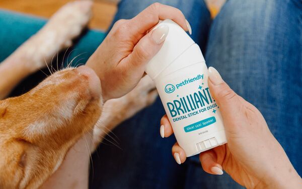 Brilliant for Dogs