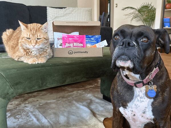 The Dog + Cat Bundle: The Dog + Cat Combo includes Blueberry Muffin Bites, Beefy Bites, Bug Bites®, and a Savor tube — treats your whole pack will love. With real protein and pet-approved flavors, it’s the perfect pick for multi-pet homes looking to share the snack love.