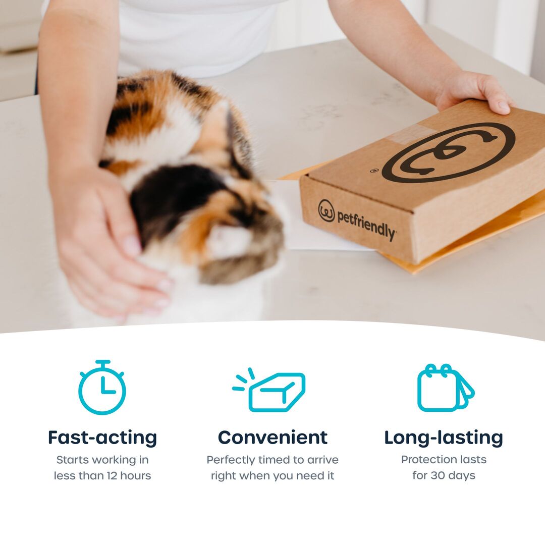 Fast acting, convenient, and long-lasting