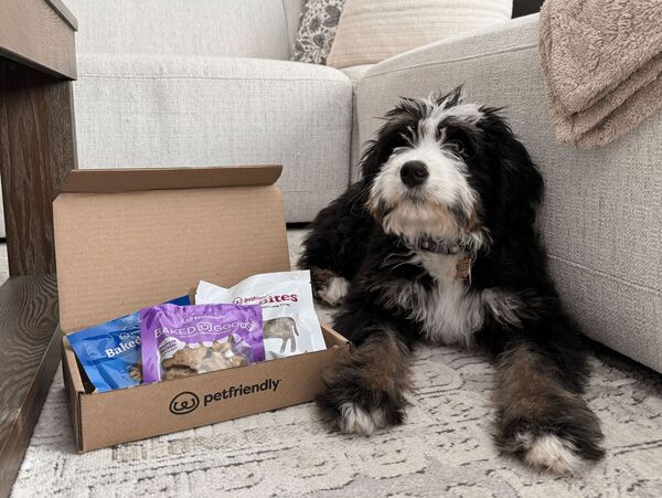 The Dog Bundle: The Dog Bundle includes Blueberry Muffin Bites and Monster Cookie Treats — made with upcycled ingredients — and Beefy Bites, made from 100% all-natural beef lung. Packed with protein and full of flavor, these treats are perfect for training, rewarding, or daily snacking.