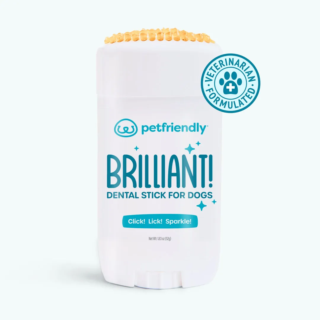 Brilliant Dog Dental Care