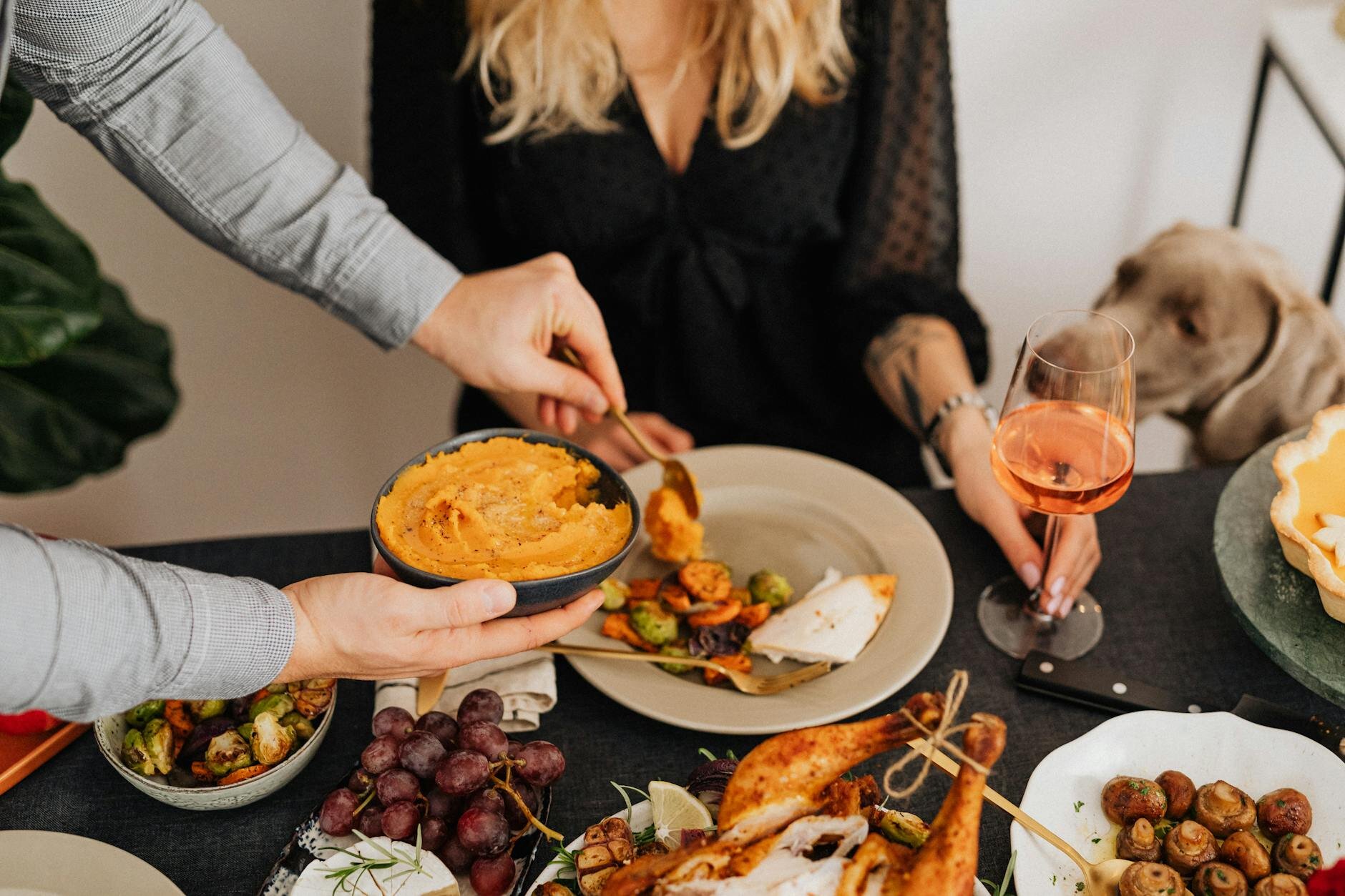 Safe Thanksgiving Food for Dogs: 10 to Enjoy & 10 to Avoid