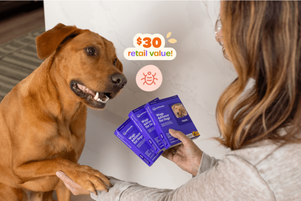 3 boxes of Wags Advance® Flea and Tick Prevention: Fleas and ticks are still around in the fall! This 3-pack of pest prevention will allow your dog to play and explore outside while staying flea- and tick-free. It's easy to apply, EPA-approved, and created by vets.