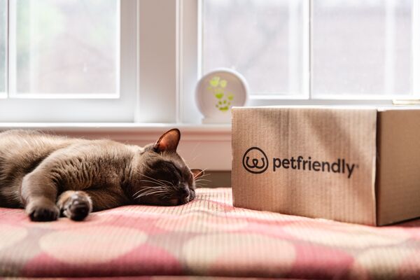 dog and cat enrichment benefits of lick mats