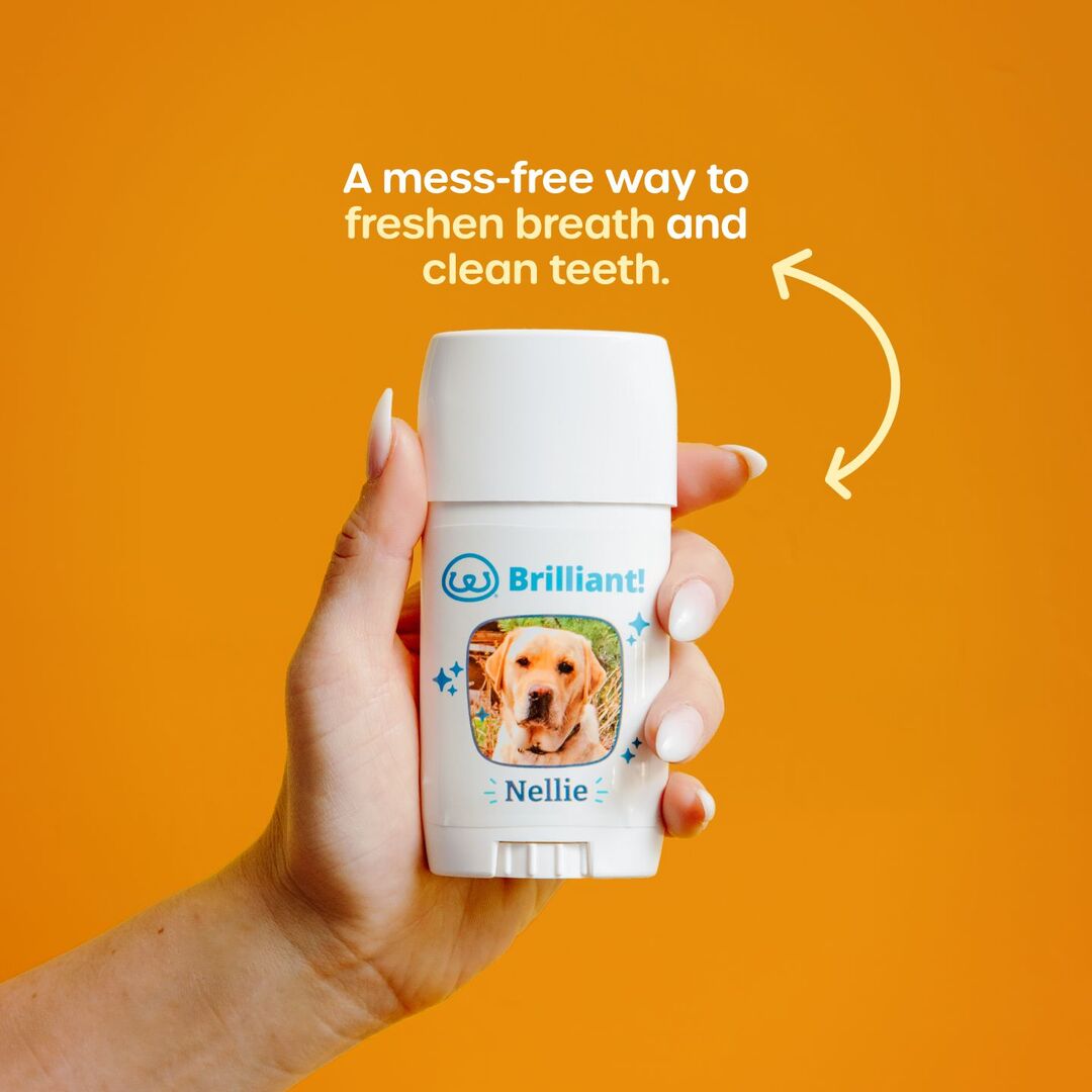 Brilliant Dental Stick