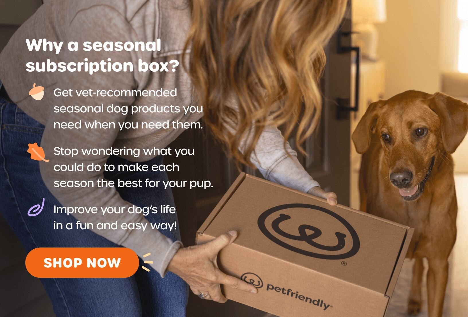 Why a seasonal subscription box? Get vet-recommended seasonal dog products you need when you need them. Stop wondering what you could do to make each season the best for your pup. Improve your dog's life in a fun and easy way! SHOP NOW