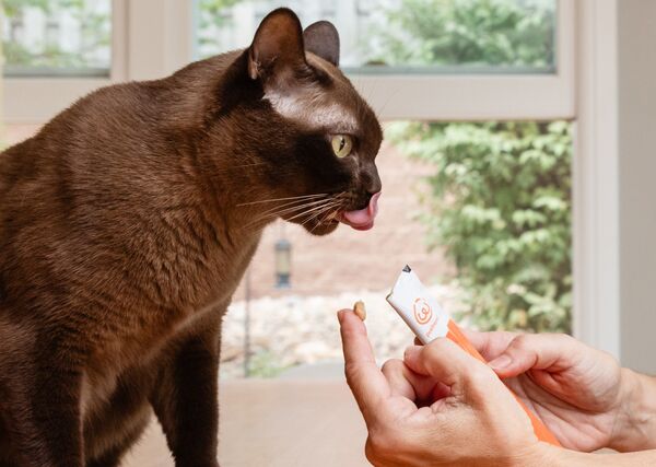 Tube Cat Treat