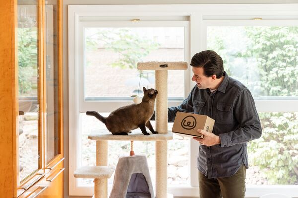 stressful behaviors in cats
