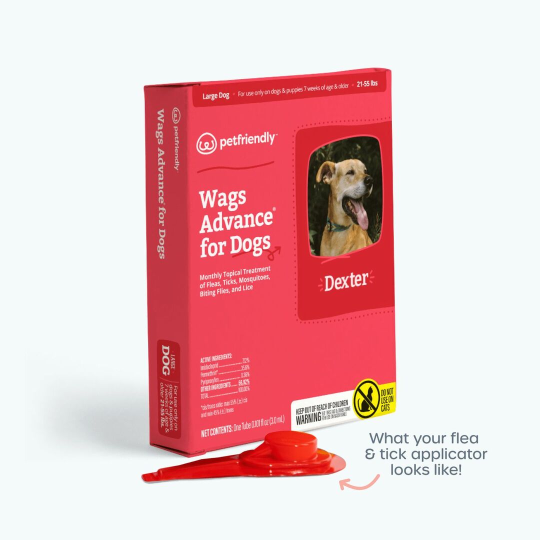 What your flea & tick applicator looks like!