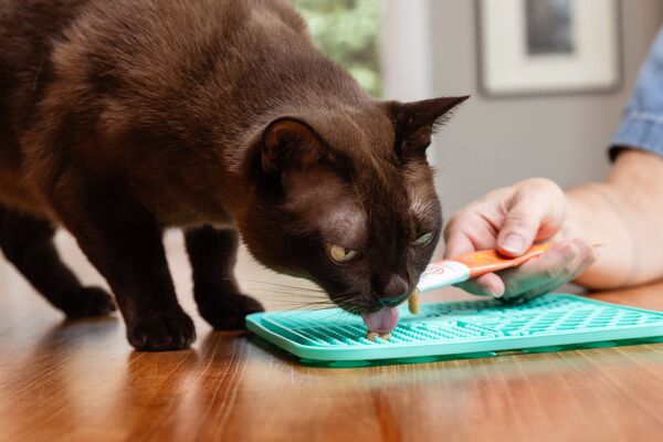 PetFriendly Lick Mat