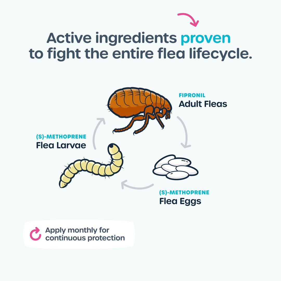 Active ingredients proven to fight the entire flea lifecycle